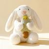 Animal Series Plush Toys - Soothing Dolls for Kids, Wedding Toss, Girls' Birthday Gift
