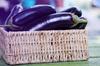 SAFLAX - Garden in the Bag - Organic - Aubergine - Long Purple - 20 seeds - With substrate in a fitting stand up bag - Solanum melongena