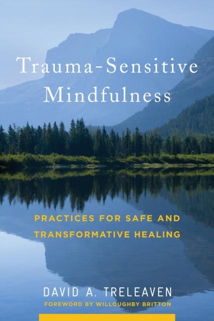 The Trauma-Sensitive Mindfulness : Practices for Safe and Transformative Healing Book