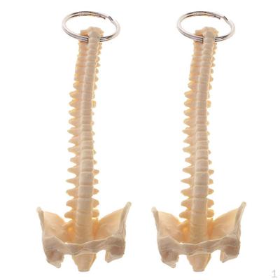 2 Stück Mini Handgefertigtes Menschliches Wirbelsäulen Skelett Modell Schlüsselanhänger Schul Lehrmittel Elegant Hübsch
