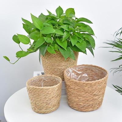 Handmade Straw Vine Flower Basket for Indoor Succulents and Pothos, Creative Desktop Decor
