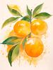 Blueberry Grapes Peaches Pomegranate Watercolor Fruit Poster Canvas Painting Modern Nature Wall Art Picture Home Decor Gift
