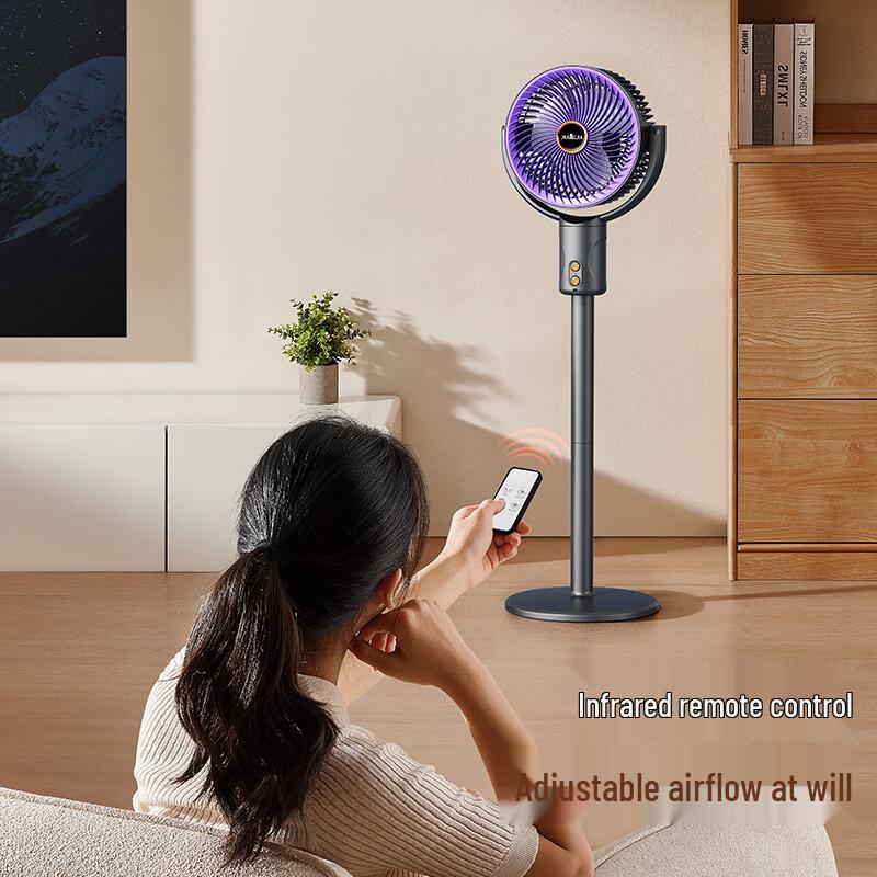 ZISIZ Oscillating Pedestal Fan