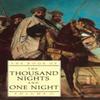 The Book of the Thousand Nights and One Night Vol 2 Paperback Book 9780415045407
