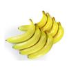 GuCra Banana Lifelike Food Sample Fruit Model AA (8 Count)