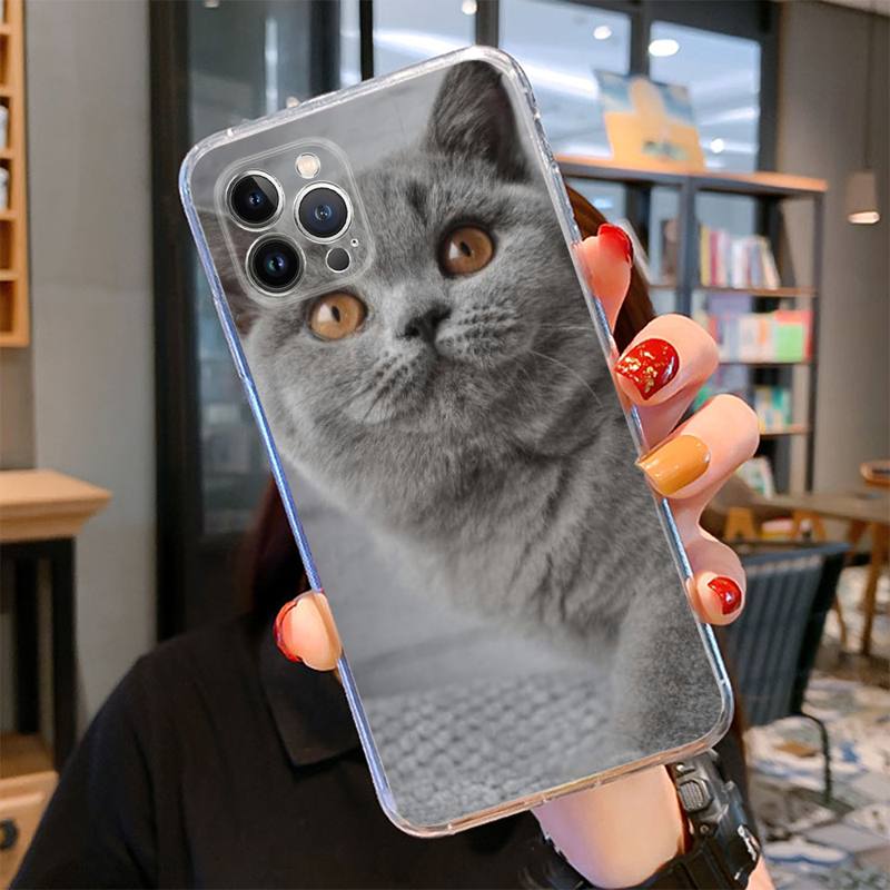Britská krátkosrstá kočka Pouzdro na telefon pro iPhone 14 13 12 11 Pro Max XS X XR SE 2020 6 7 8 Plus Mini průhledné pouzdro