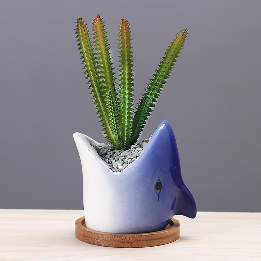  Cactus Cartoon Cute Personality Ornament Ceramic Flowerpot