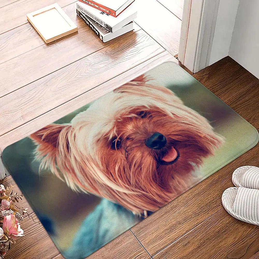 Bedroom Balcony Non-Slip Rug Entrance Door Mat Floor Dog Funny Pug Schnauzer Kitchen Living Room