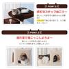 Cat Space Total Height Mouse Toy Hemp Hammock Scratch Cat Tower Tower, Stationary, Saving, 145cm, Included, String, Included, Scratch, (Chiiro)