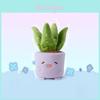 Planta Aloe Cogumelo Tulipa Begônia Design de Cerâmica Brinquedo de Pelúcia Para Decoração de Casa e Presente