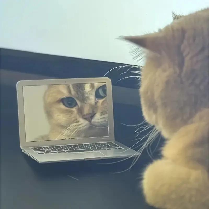 Mini Makeup Mirror - Computer Mirror,Magnifying Handheld Pocket Mirror, Creative Portable Folding Mirrors,  Small Compact Mirror