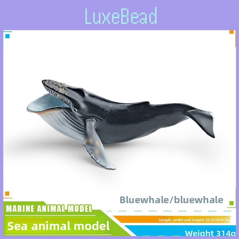 Childrens Marine Animal Pvc Model Set With Realistic Cetacean Figures For Educational Play