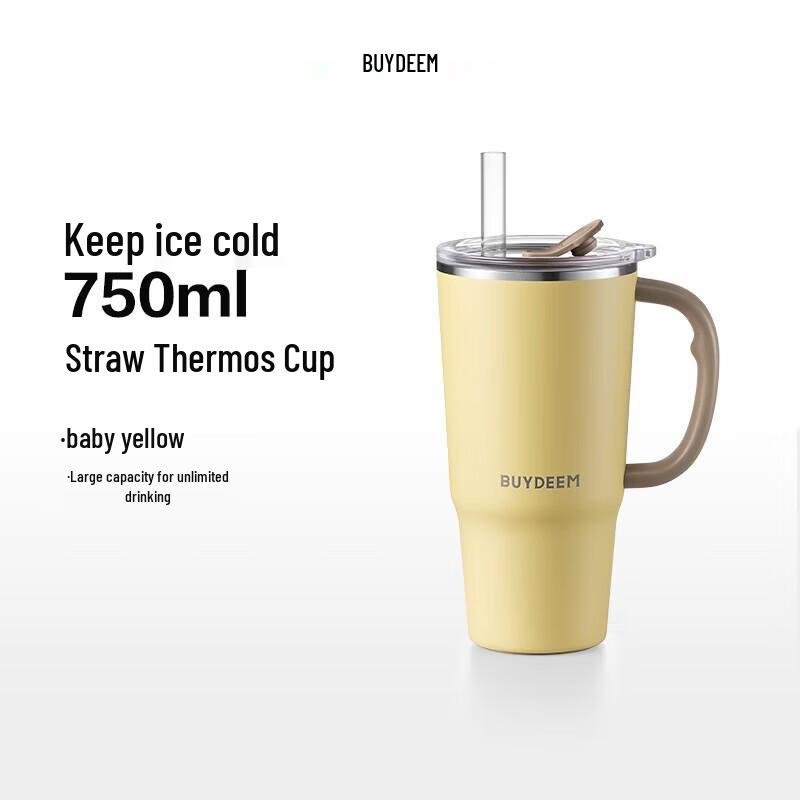 Buydeem Large Capacity Straw Insulated Bottle
