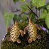 Sea Turtles Miniature Fairy Garden Home Houses Decoration Mini Craft Micro Landscaping Decor DIY