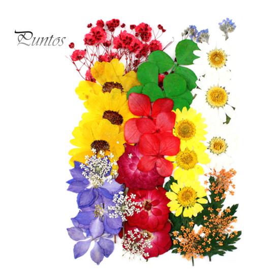 DIY Harz Kunst Blumen-Set 1 Set Getrocknete Gepresste Blumen Bunte Natürliche Bastelbedarf Kerzenherstellung Schmuck Epoxidform Vase Nagelkarte Scrapbooking