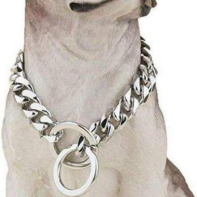 Guinzaglio e Collare a Catena P in Acciaio Inossidabile Dorato da 19 mm - Collana per Animali Domestici Hip Hop