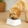 Plastic Pet Water Fountain Anti-Splash Non-Slip Base Floating Drinking Bowl Neck Protection Anti-Overturn Dog Water Bowl Travel