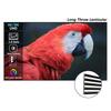 100-130" WUPRO Cinema Ultra Contrast&Anti-Laser Speckle Lenticular ALR CLR Projection Screen For Long Throw Projector