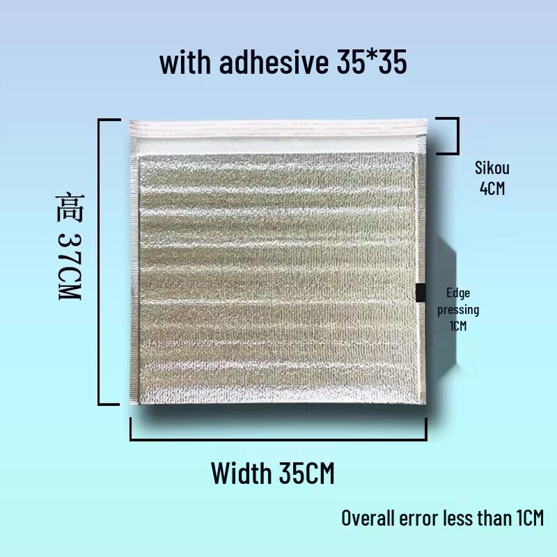 Disposable Insulated Takeout Bags