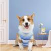 Blue Striped Dog Recovery Suit Elastic Cloth Small Dog Post-op Wear  Pet Injury Care