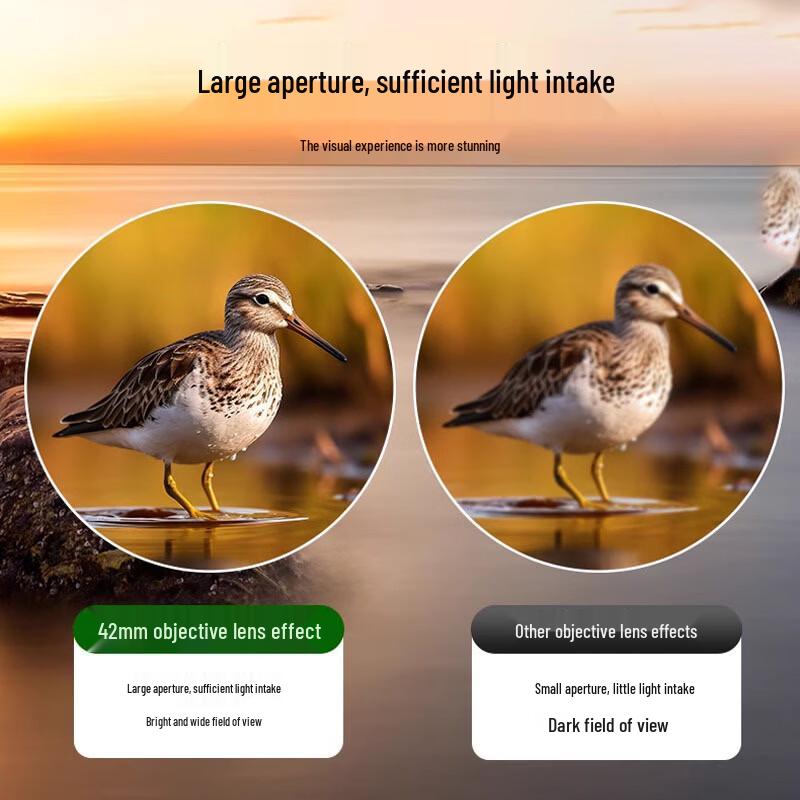 

Miflame 10x42HD Binoculars