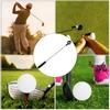 Portable Telescopic Golf Ball Picker Retriever Scooping Pick Up Device Golfer Tool Accessory