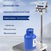 Explosion-Proof Industrial Electronic Scale
