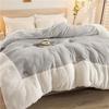 Super Thick Winter Lamb Wool Quilt Winter Quilt Core Thickened To Keep Warm 10 Jin Single Double Student Autumn And Winter
