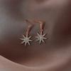 Korean Version of Diamond-encrusted Snowflake Pendant Earrings, High-end Design Ins Exquisite Fashion Earrings.