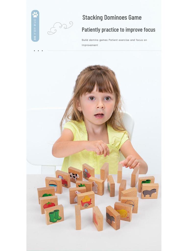 Kindergarten Domino Idiom Puzzle Set: Educational Building Blocks for Kids Ages 3-6