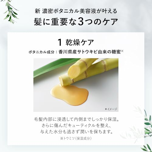 BOTANIST | Shampoo Treatment Set Moist