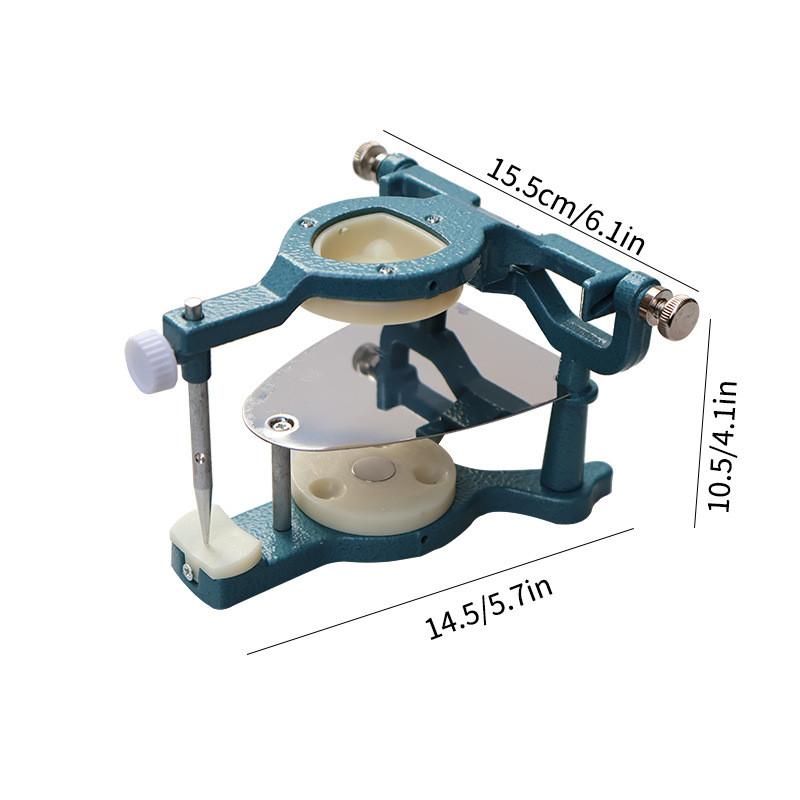 Articolatore Dentale Magnetico Per Adulti Con Modello Anatomico Per L'Educazione Dentale E L'Uso in Laboratorio