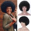 Short Synthetic Wigs Afro Kinky Curly Wig for Women Available Black Natural Afro High Temperature Hair