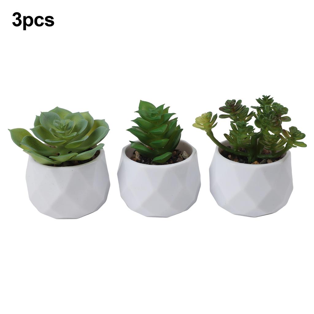 Artificial Succulents Decorative Flower Pot Elegant Design