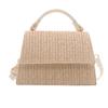 Trendy Woven Small Square Bag For Women Perfect For Everyday Use In Spring
