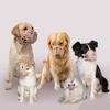 Köpek – Eğitim ve Öğretim Araçları