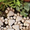 20pcs Cat Paw Stepping Stones Resin Garden Stepping Stones Outdoor Decorative Stones for Garden Lawn Pathway Bonsai Decorations Cat Lover Holiday