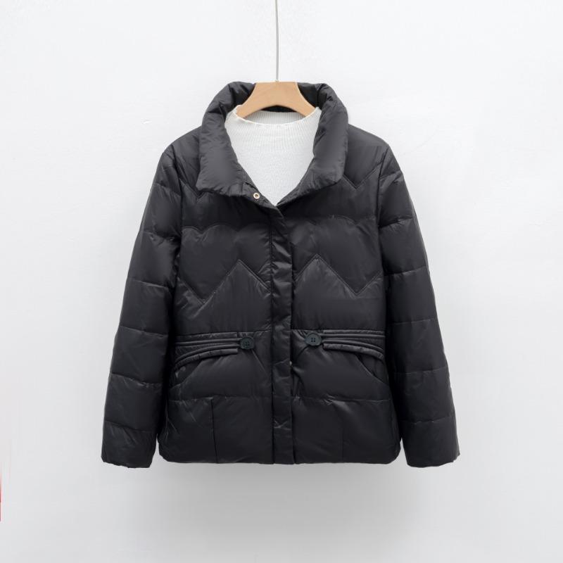 Autumn and winter new short down women's stand-up collar small simple casual jacket trendy and warm