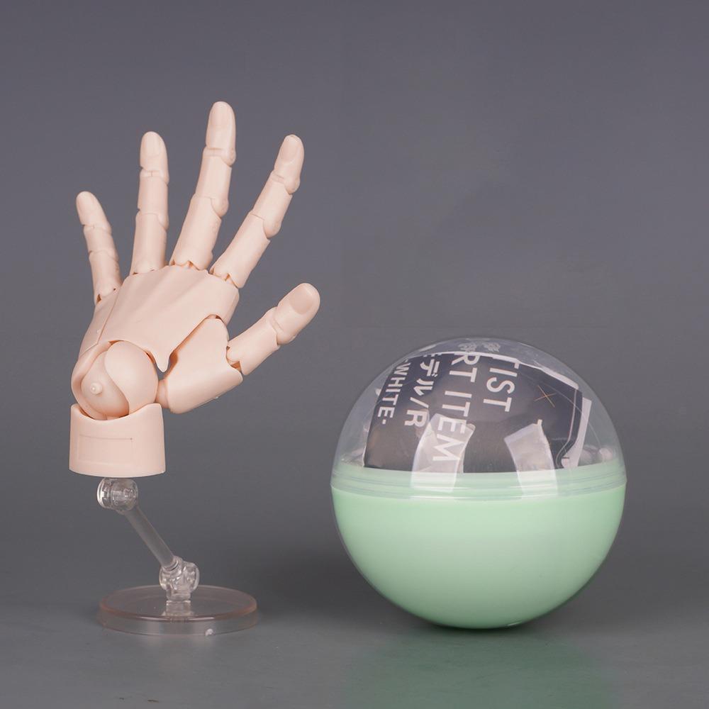 1:2 Scale Human Hand Model Mini Size Twisted Egg Design Palm Model Movable Joints With Posable Fingers Movable Finger Joints