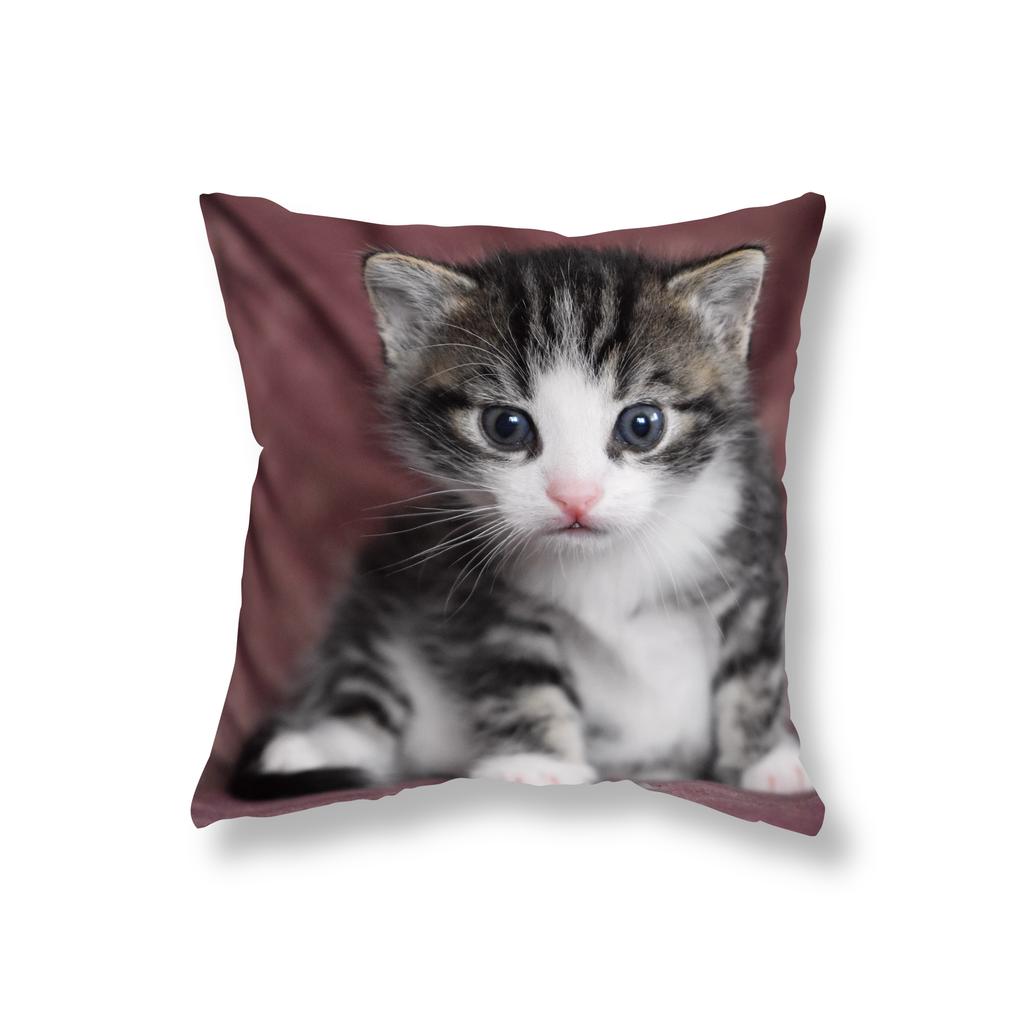 Cute Kitten Throw Pillowcase Sofa Party Decoration Office Game Chair Cushion Cover Room Bedside Home Decor Pillowcase 45x45cm