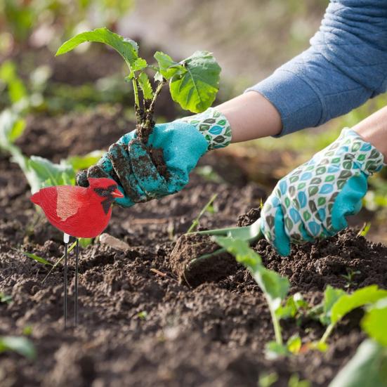 Soil Moisture Meter Bird Shape Watering Reminder Hygrometer Sensor