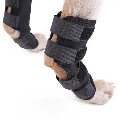 1 Paar Stoßfeste Haustier Hund Beinstütze Knie Sprunggelenk Unterstützung Chirurgischer Wundschutz