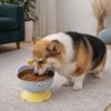 High-Legged Cat Feeding Bowl Anti-Slip No Spill Stainless Steel Dog Bowl Removable Large-Capacity Raised Bowl