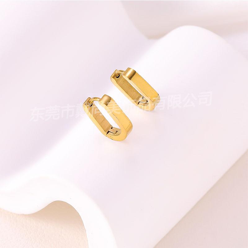 European and American stainless steel earrings, high-end fashion stud earrings, versatile temperament, niche, simple trend earrings