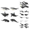 Realistic Marine Animal Models With Static Display For Aquarium Decoration And Educational Purposes