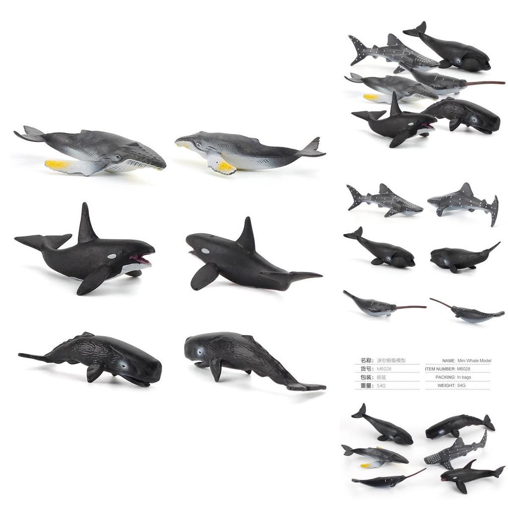 Realistic Marine Animal Models With Static Display For Aquarium Decoration And Educational Purposes