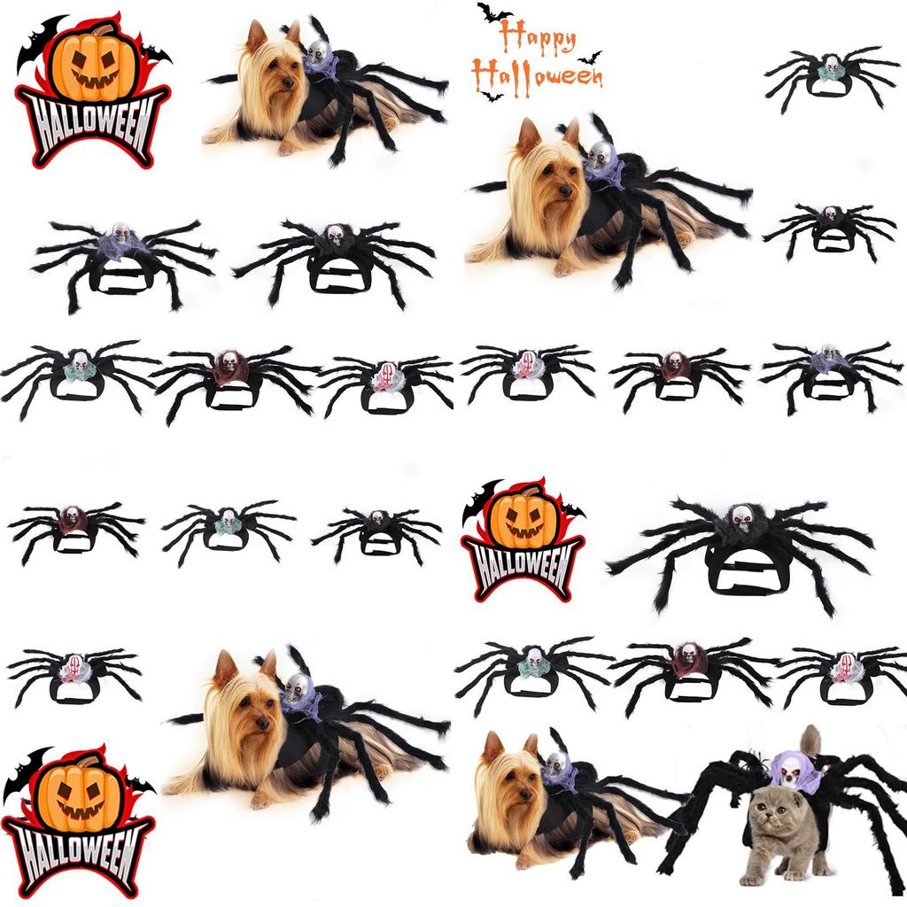 Halloweenowy Kostium Zwierzęcy Psa Kota Symulacja Czaszki Czarny Pająk