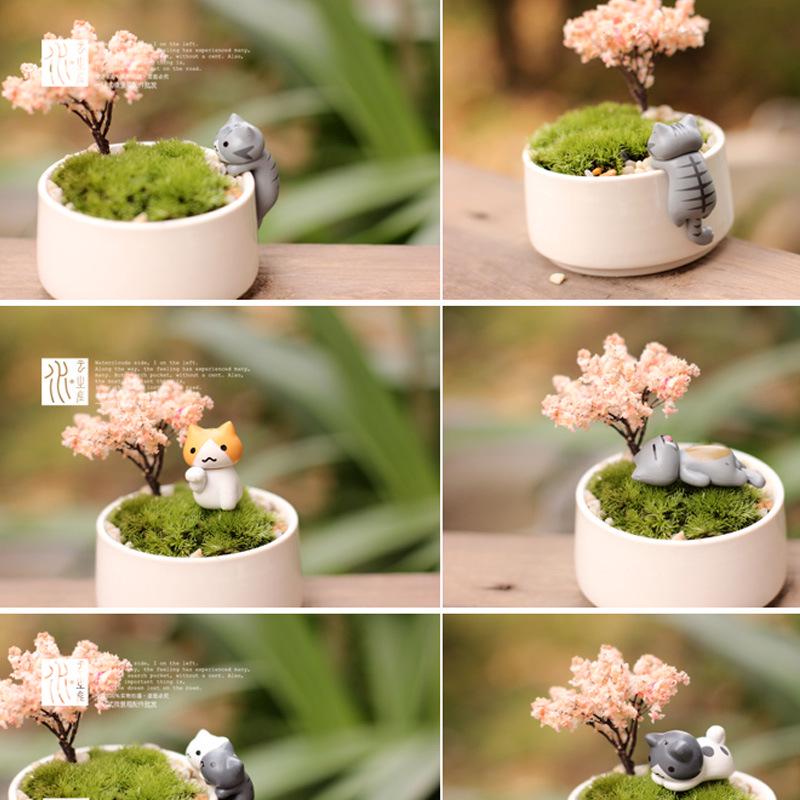 Adorable Cat Teacher Succulent Pot Moss Figurine - DIY Cake Decoration
