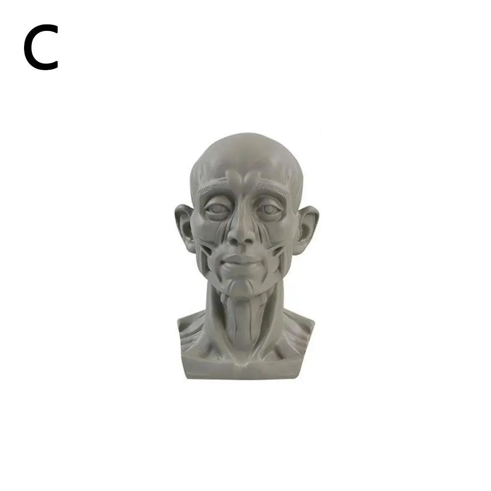 Art Plaster Portrait Teaching Aids Simulation Flat Head Plaster Portrait Practical Mini Version Resin Tool Sketch Learning