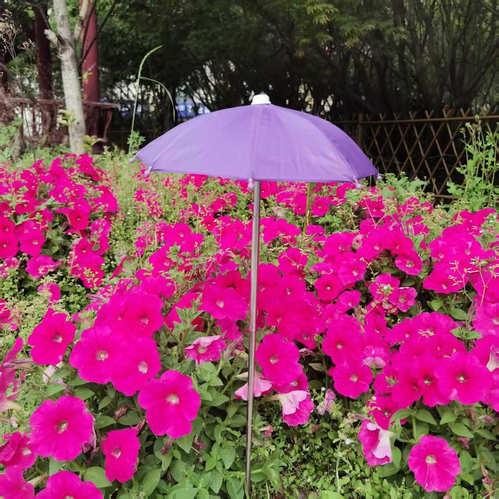 Plant & Flower Shade: Retractable Outdoor Stainless Steel Umbrella for Succulents, Bonsai, and Potted Plants.